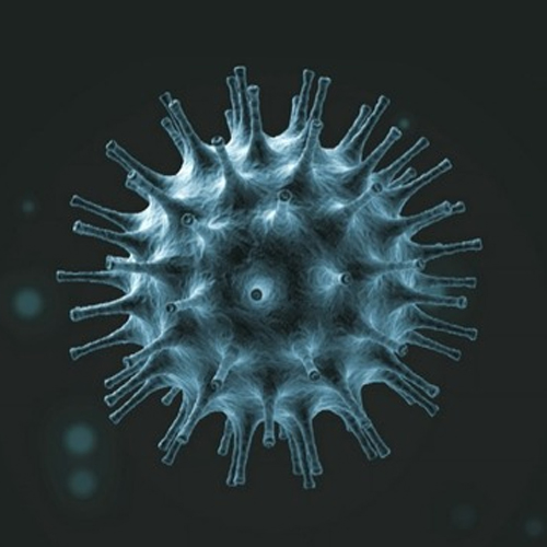 Corona virus – Symptom, Protection and Prevention