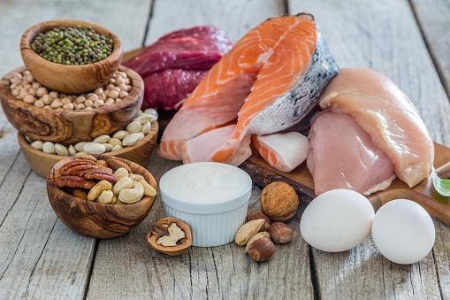 What are Protein Rich Foods?