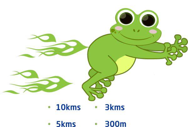 Racetime India Frog Run_ Prepare The Right Way