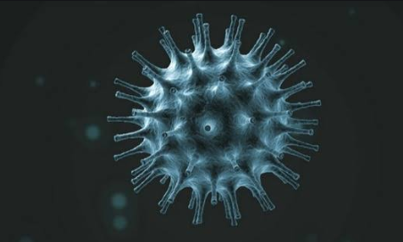 Corona virus – Symptom, Protection and Prevention 