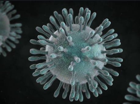 All Frequently Asked Questions about Coronavirus – Answered!