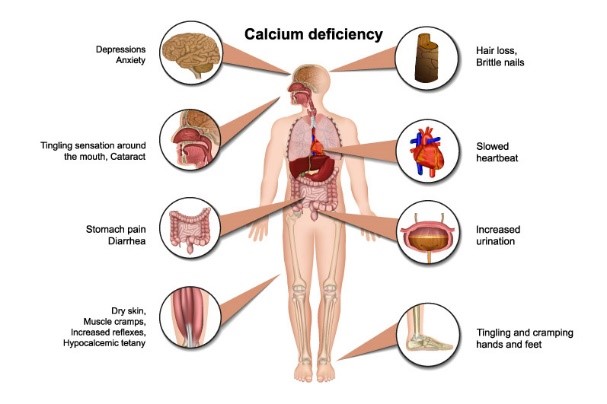 Fas&up Calcium Supplements