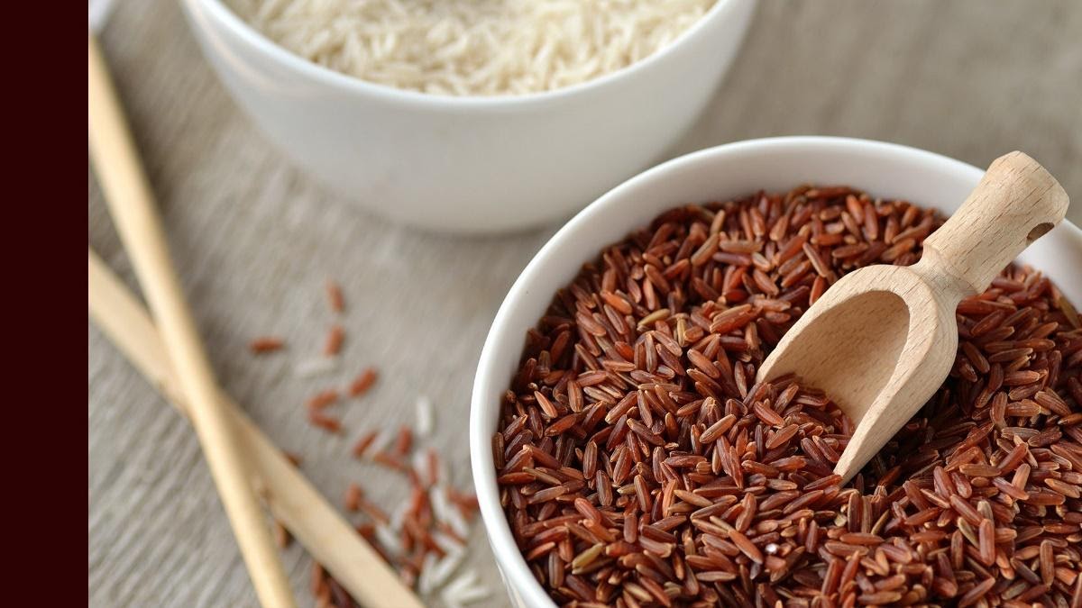 Fast&up Health Benefits of Brown Rice Protein Powder