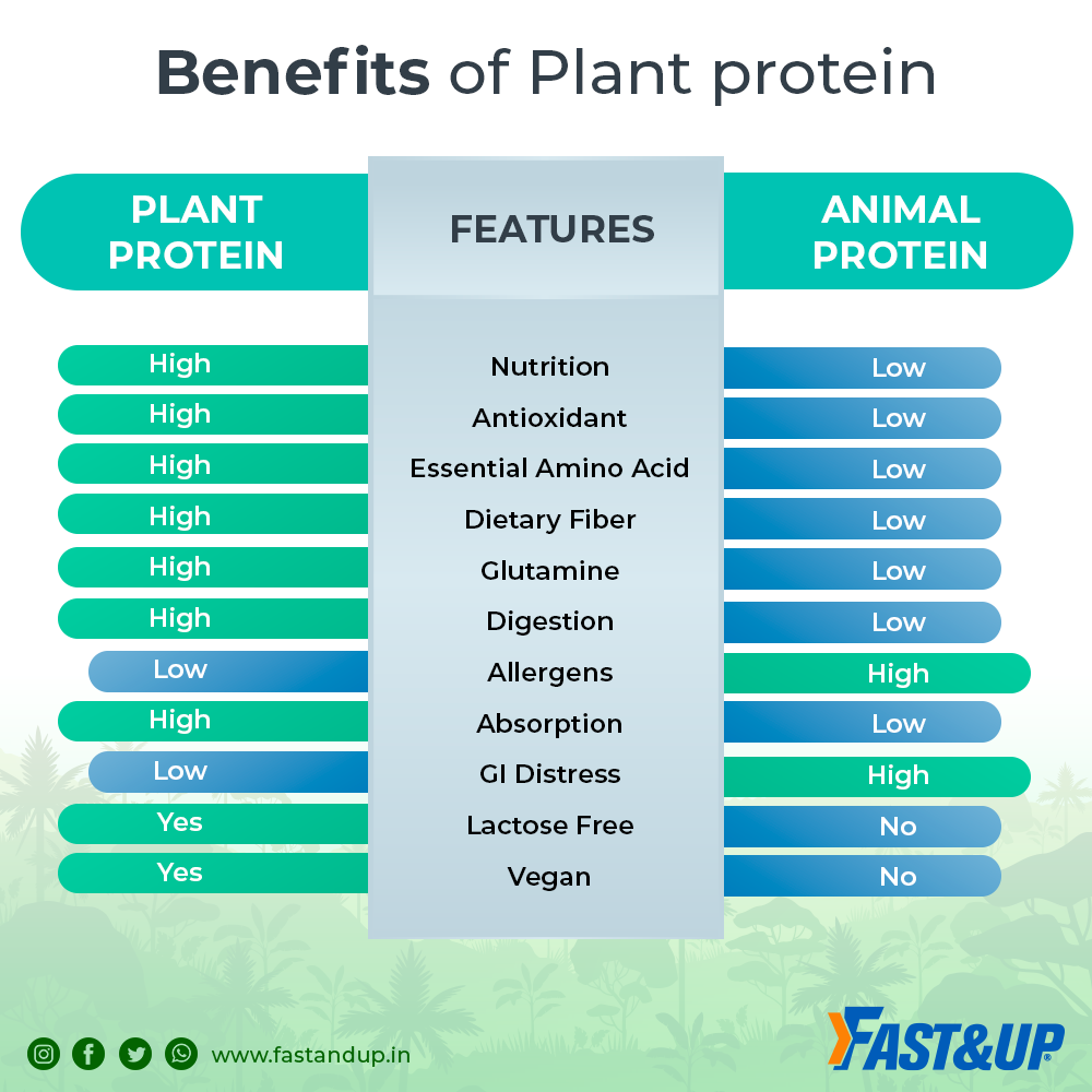 Fast&up Benefits of Plant Protein Powder