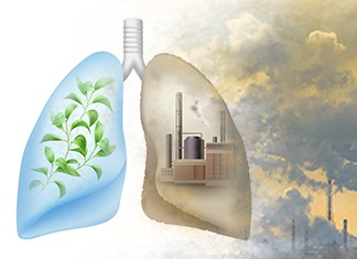 Fast&up Impact of Air Pollution on Lung Health
