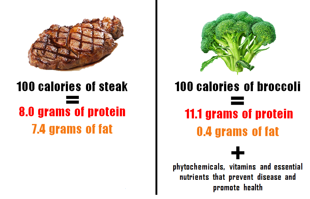 Animal protein is superior to plant protein - Fast&Up