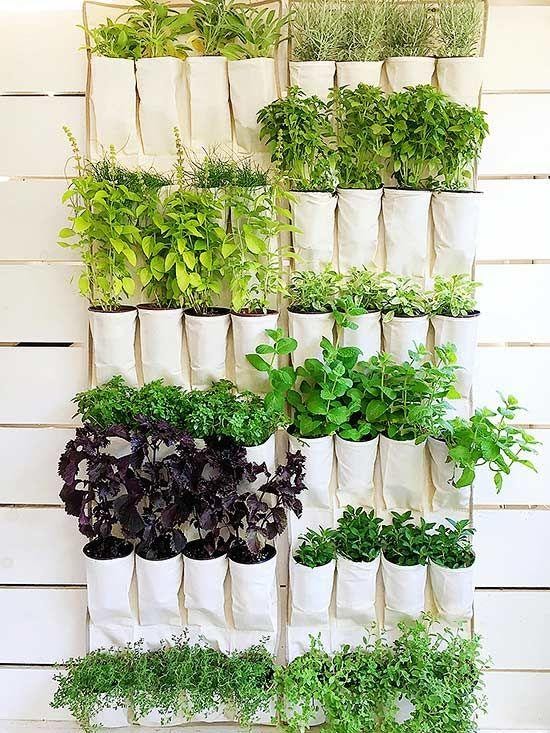 HANGING VERTICAL VEGETABLE PATCH