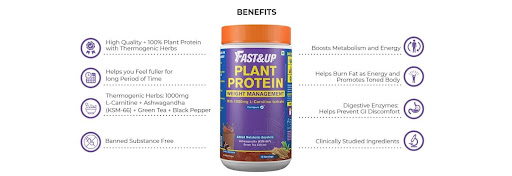 Protein Supplement for Weight Loss