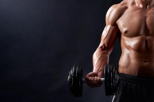 building lean muscles