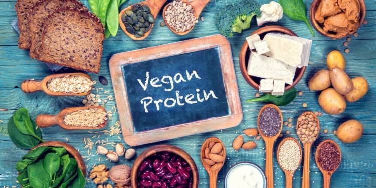 Plant based protein for Vegans