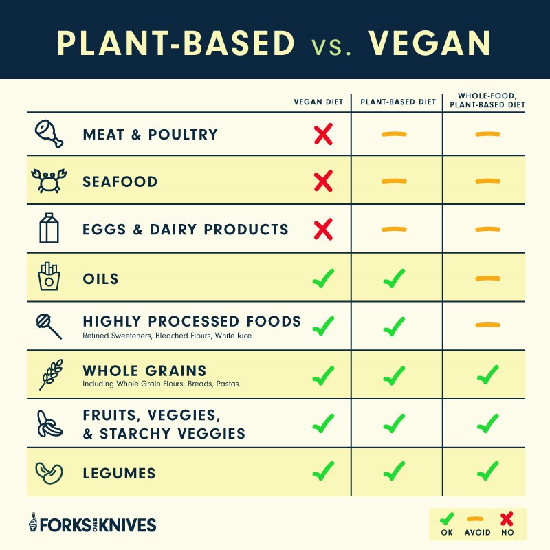 Plant Based vs Vegan