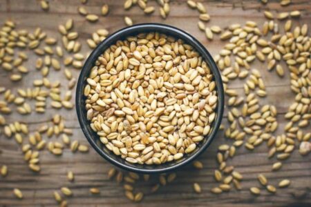 Barley Benefits for Cancer